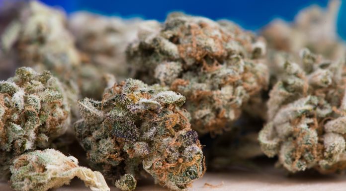 Emancipating Marijuana in Texas and Worldwide Emancipating Marijuana in Texas and Worldwide