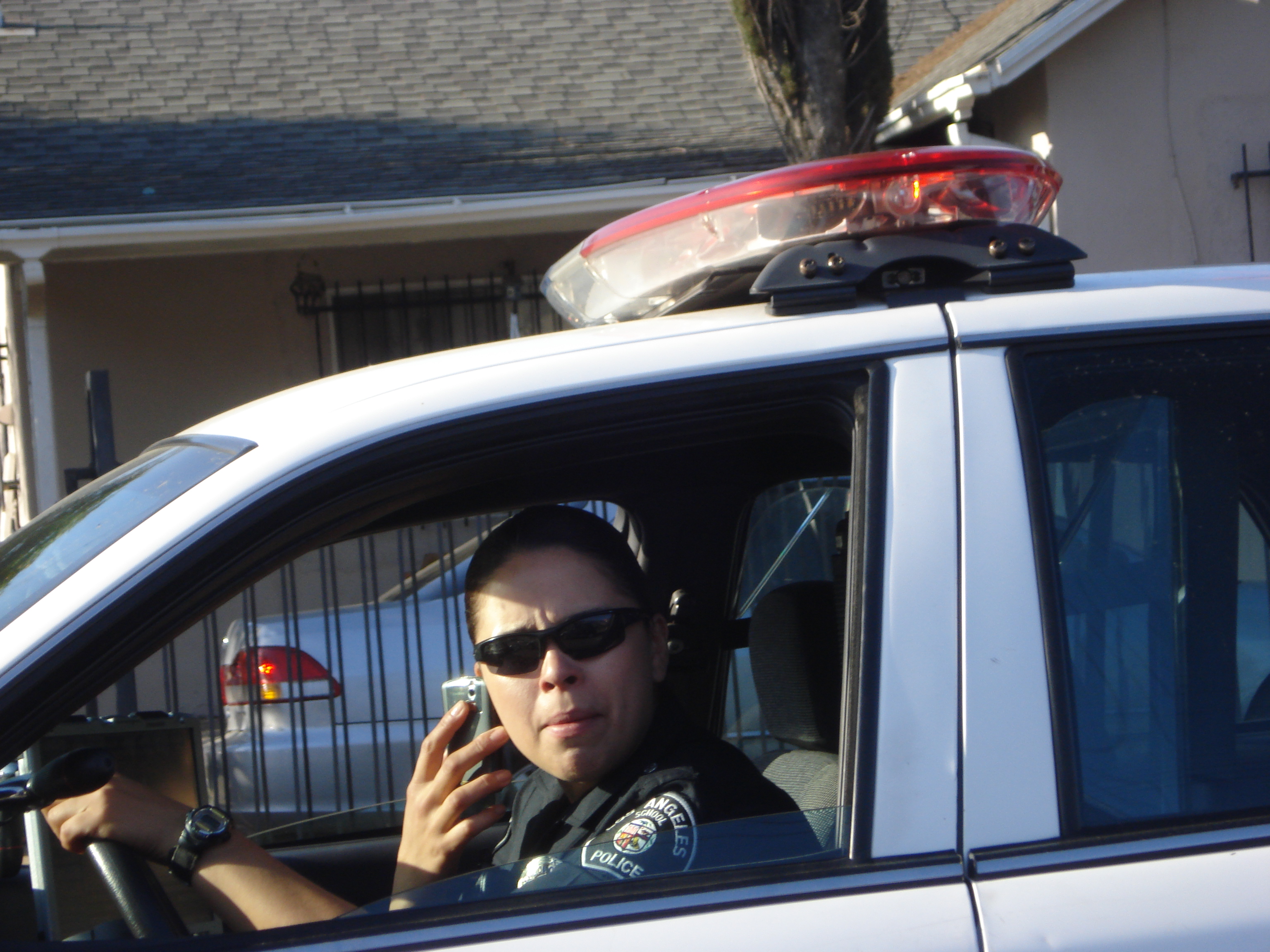 Private Police Part 1: An Examination of the Police Force As It Exists Today