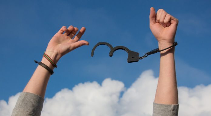 Freedom is Everything – A Libertarian Refutes a Socialist’s Concept of Freedom Freedom is Everything - A Libertarian Refutes a Socialist's Concept of Freedom