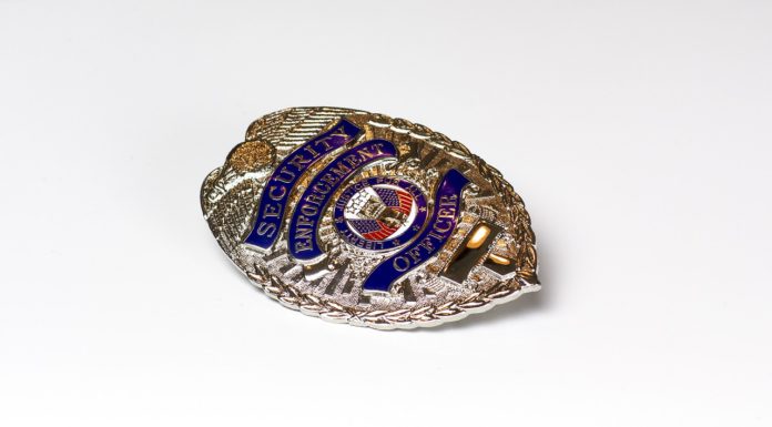 Public to Private: Threat Management Center vs. Detroit PD – Results Public to Private: Threat Management Center vs. Detroit PD - Results