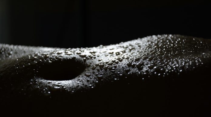 The Three Main Purposes Of Sex The Three Main Purposes Of Sex