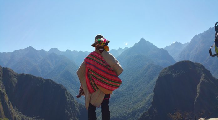 Ayahuasca | A Deep Dive Into The Soul Ayahuasca and it's uses