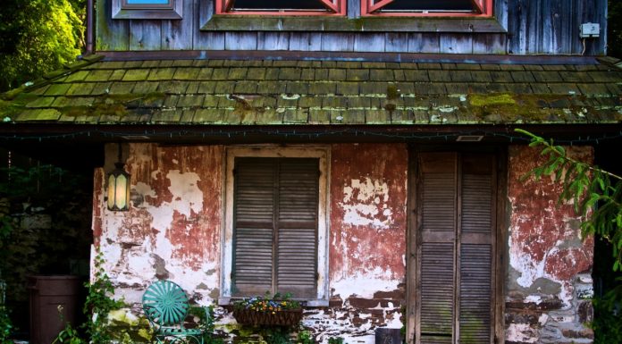 Have you ever heard of Wabi-Sabi? You should try it! Have you ever heard of Wabi-Sabi? You should try it!