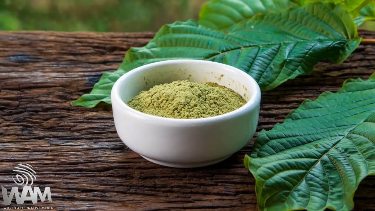 The Incredible TRUTH About Kratom! – What You Need To Know with Luis Mises
